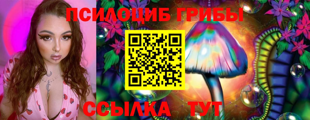 Псилоцибиновые грибы GOLDEN TEACHER Долгопрудный