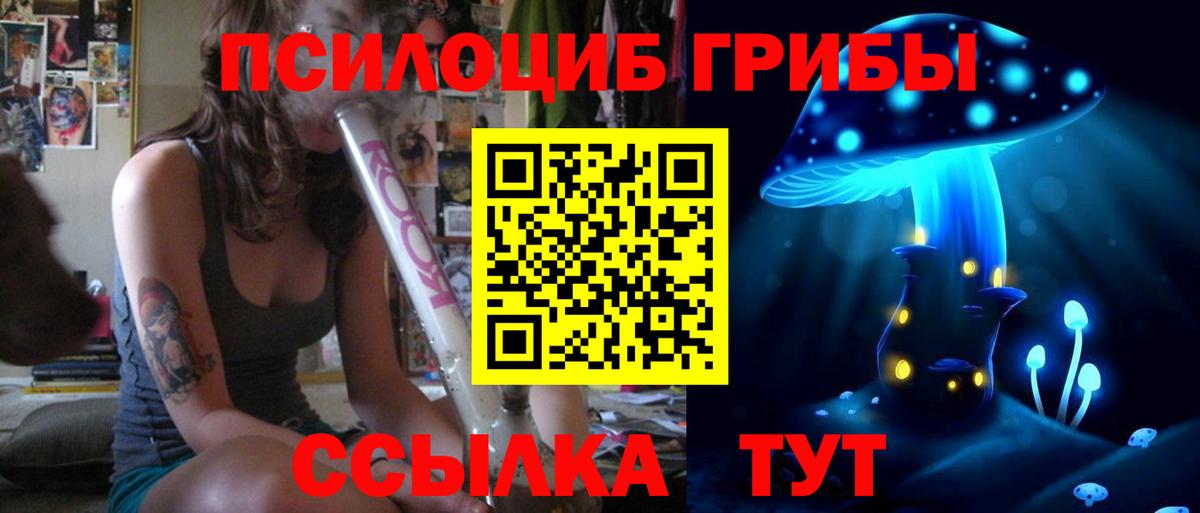 закладки  Псилоцибиновые грибы Magic Shrooms  Вход с VPN  Долгопрудный  Галлюциногенные грибы мицелий 